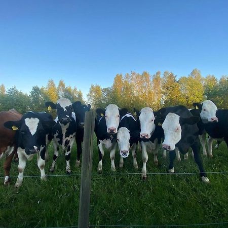 Mysig Stuga Naera Aestad Vingard & Spa Eksteriør billede